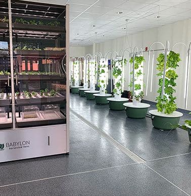 hydroponics lab with trees