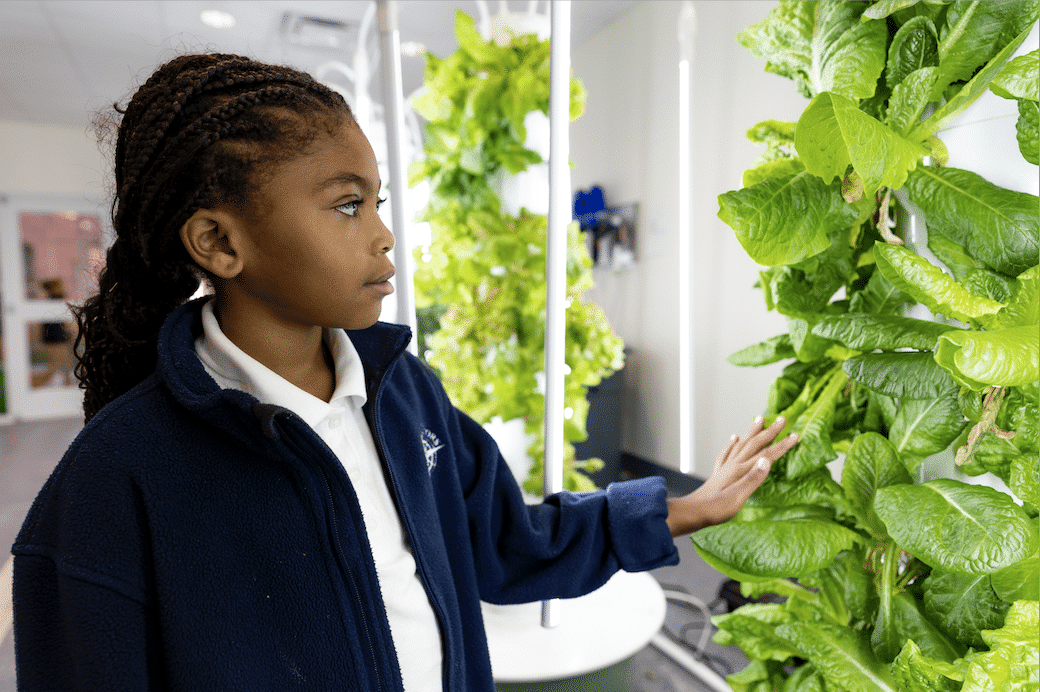 HRA student admiring hydroponics