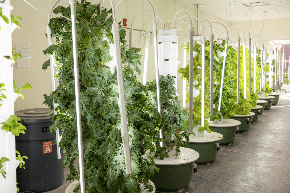 HRA hydroponics lab