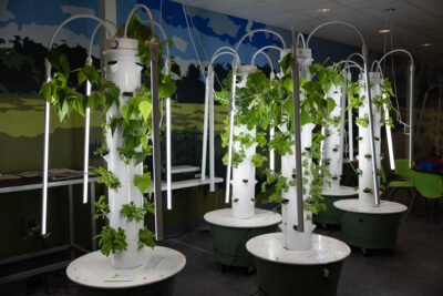 Vertical growing towers in HRA's hydroponics laboratory