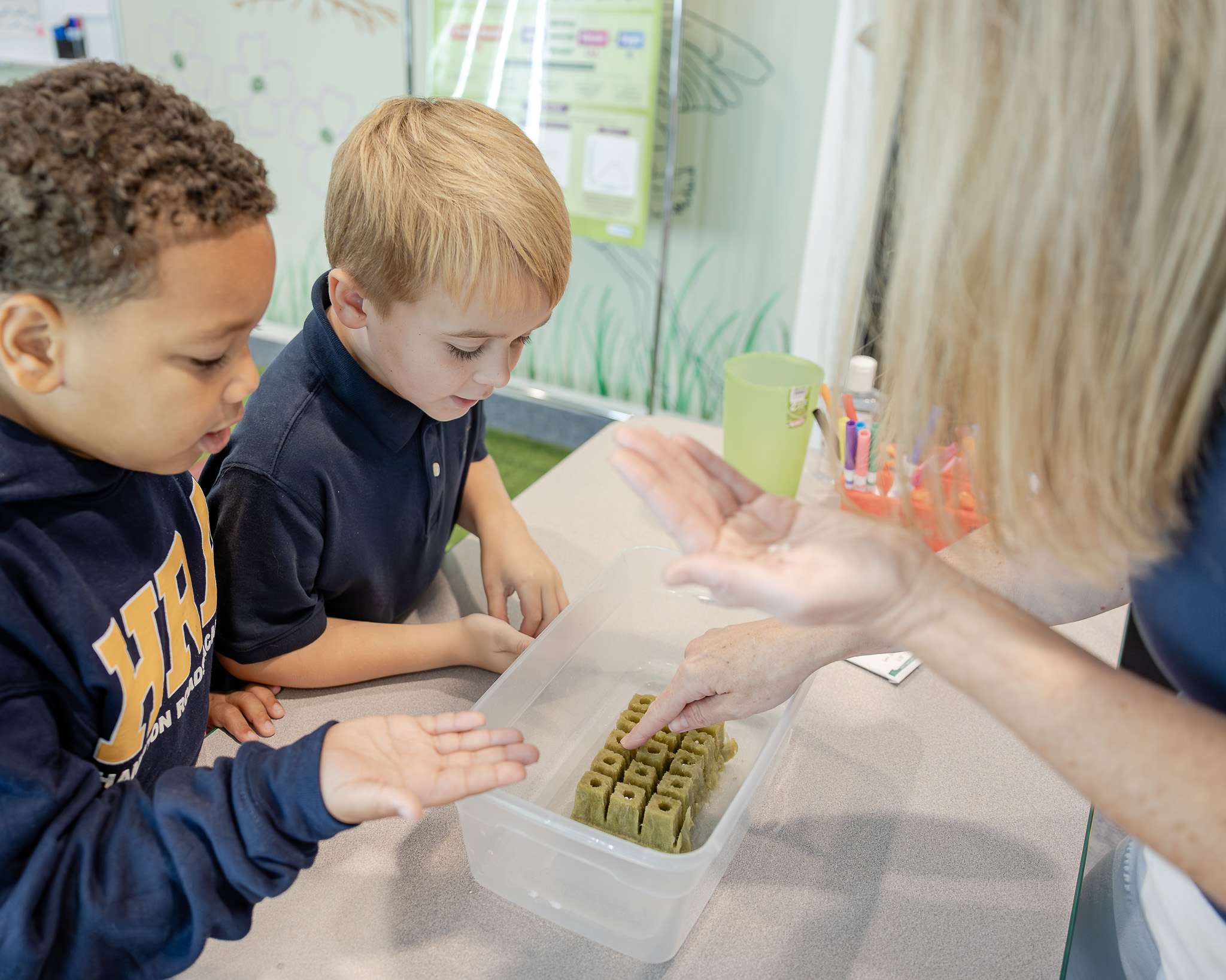 Hydroponics_Learning to Plant Seeds Students learn about agriculture in the Martha H. Patten Hydroponics Lab at HRA
