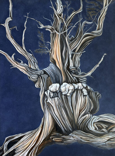 Cattywompus, by HRA Middle and Upper School art teacher Jenn Clemons