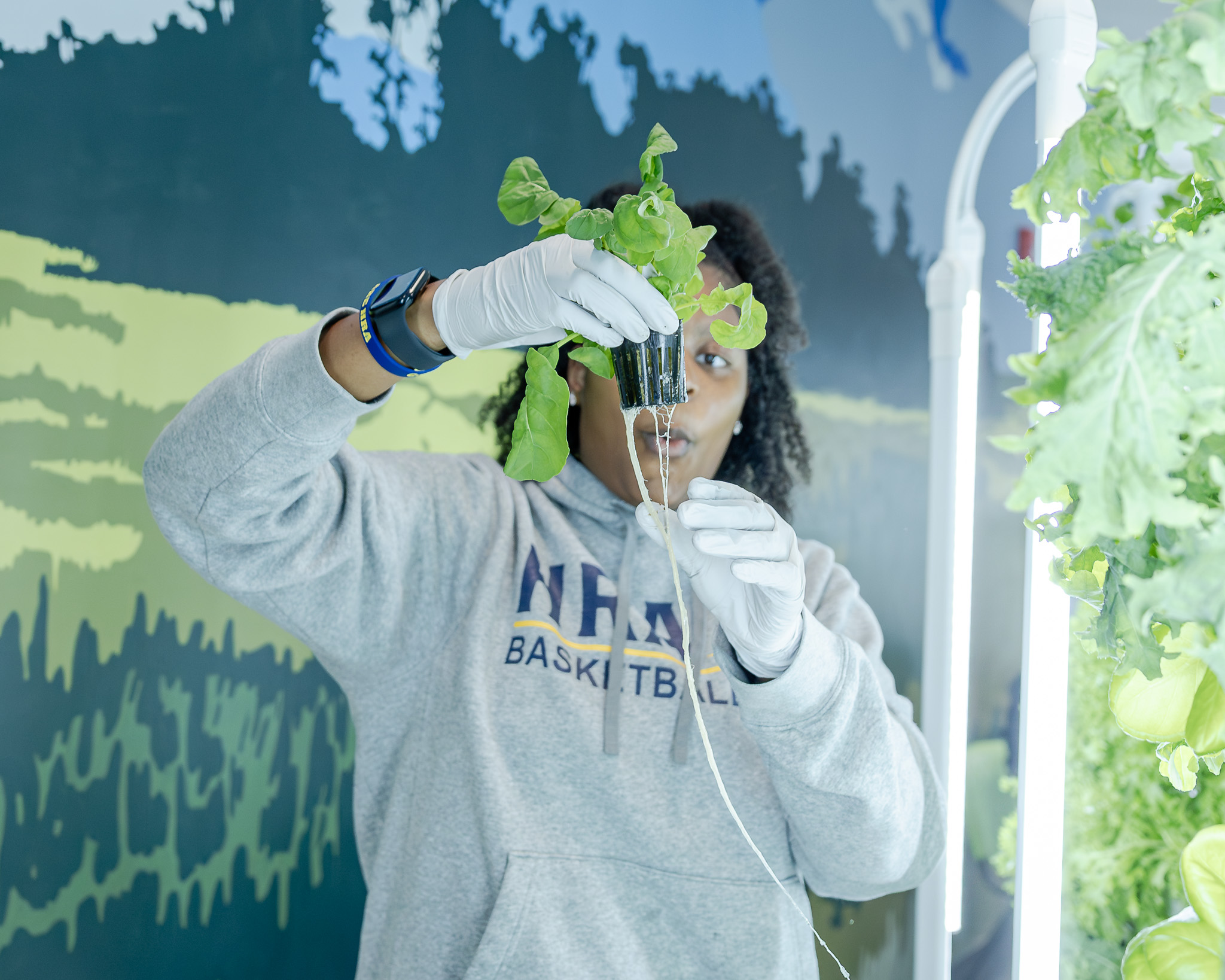 AP Advocacy_Harvest Roots An HRA Upper School student harvesting leafy greens in the Martha H. Patten Hydroponics Lab and STEAM Classroom
