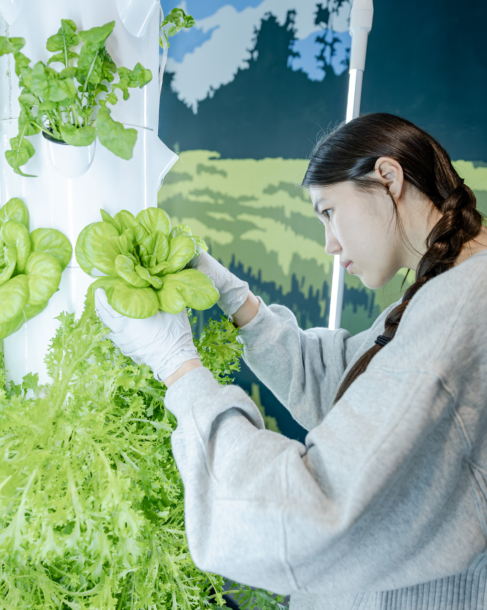 AP Advocacy_Harvest An HRA Upper School student harvesting leafy greens in the Martha H. Patten Hydroponics Lab and STEAM Classroom