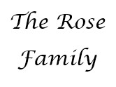 Rose Family