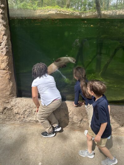 HRA kindergarteners observing a northern river otter in a tank at the Virginia Living Museum