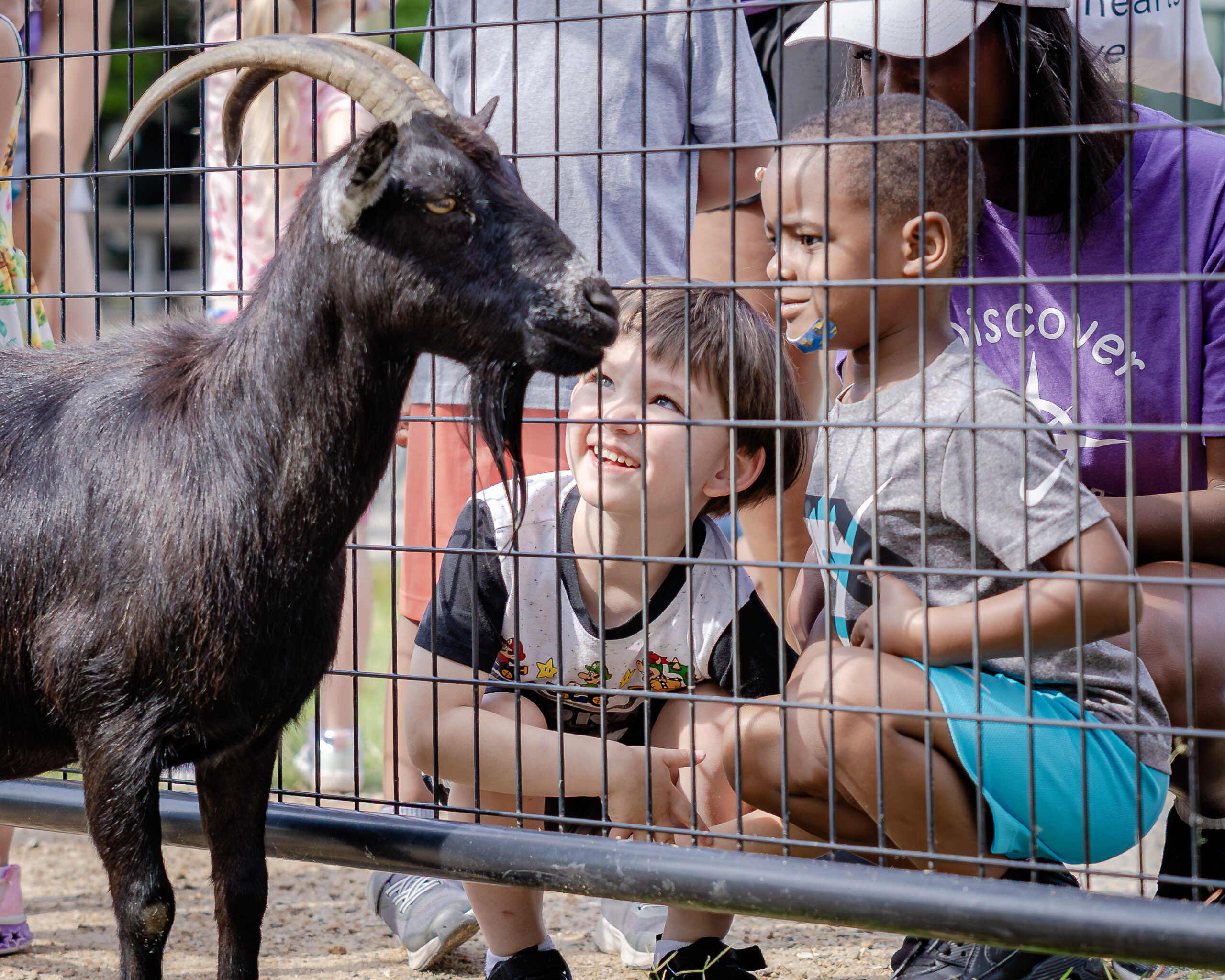 Excited HRA campers observing a goat at a petting zoo during summer 2026