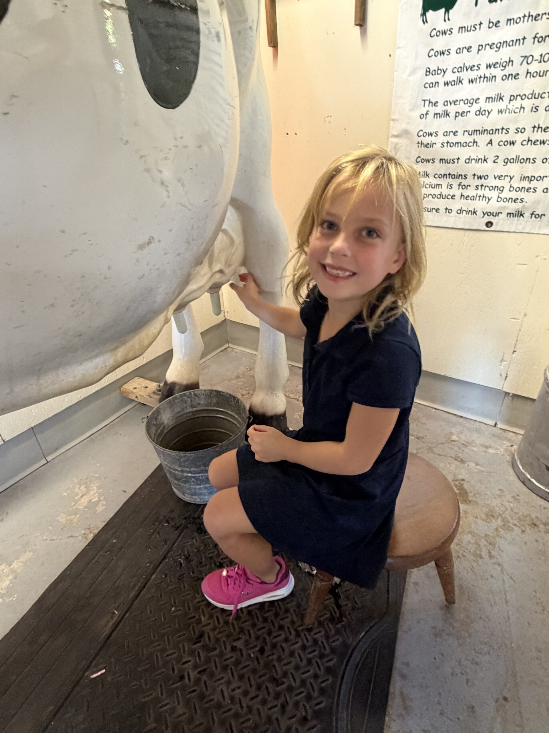 HRA student "milking" a model cow at the Virginia Beach Farmers Market
