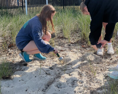 An HRA student transplanting marsh grass plugs at a beach in Hilton Village, Newport News